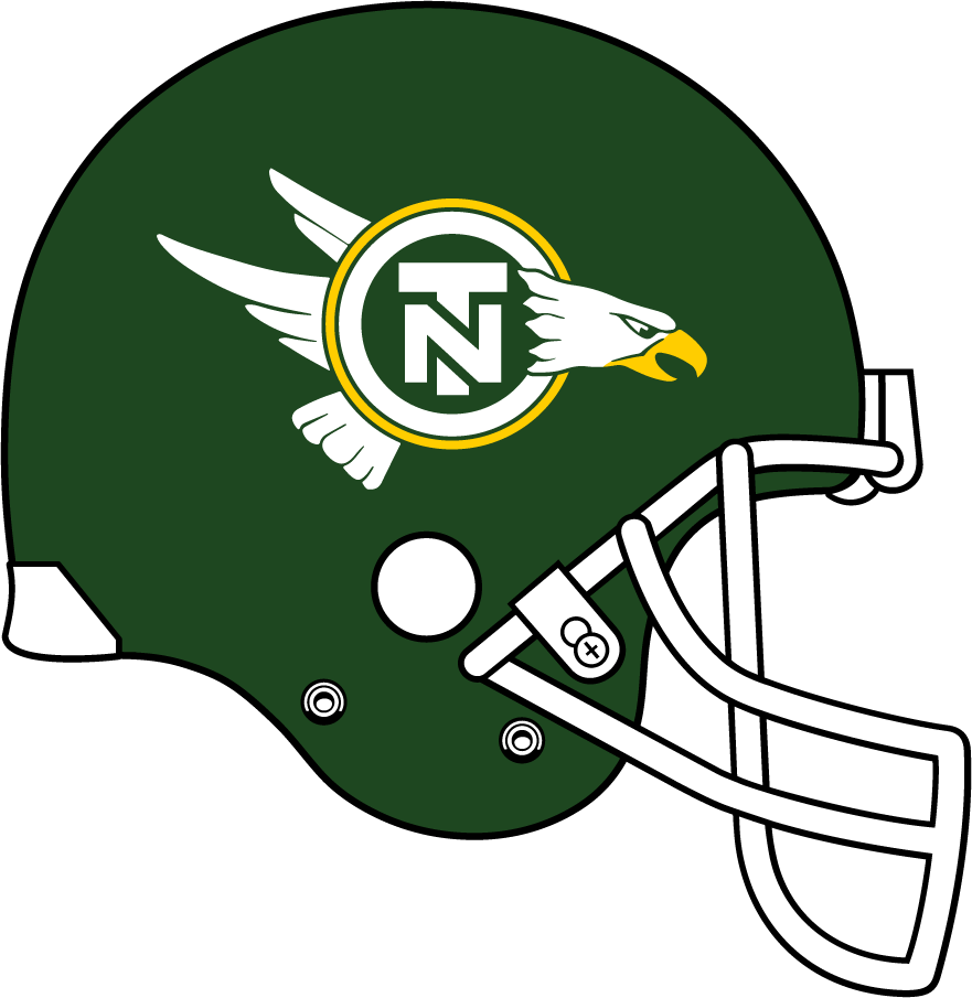 North Texas Mean Green 1983-1991 Helmet iron on transfers for clothing